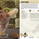 Image for article titled Official Overwatch Cookbook Lets You Recreate Pharah's Favorite Childhood Snack